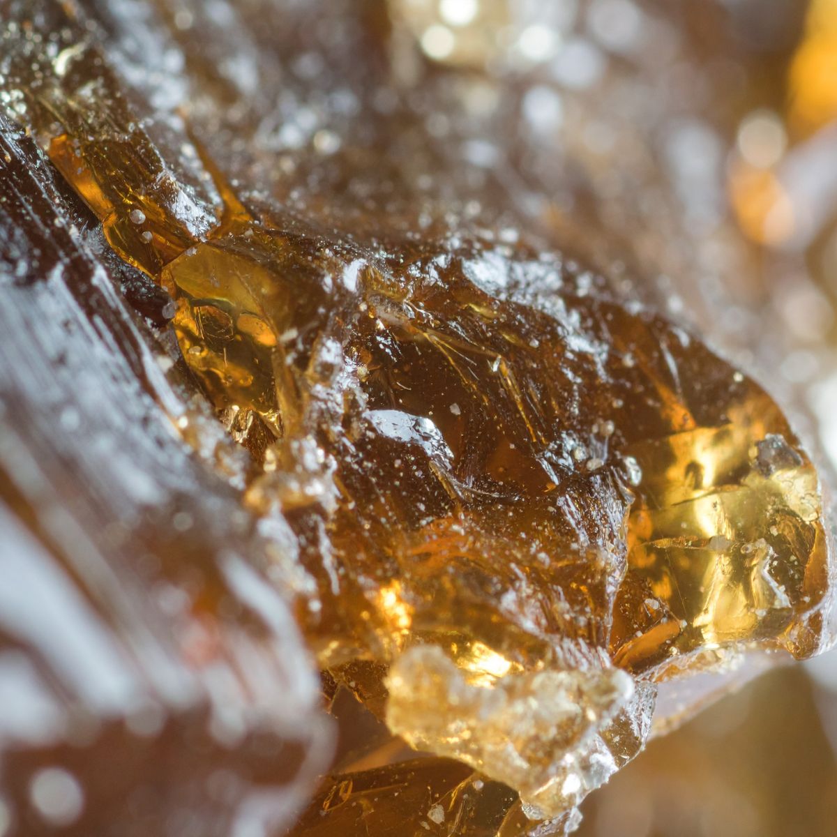 Why Mastiha Resin Is a Star Ingredient in Lira Clinical iLuminating Oil