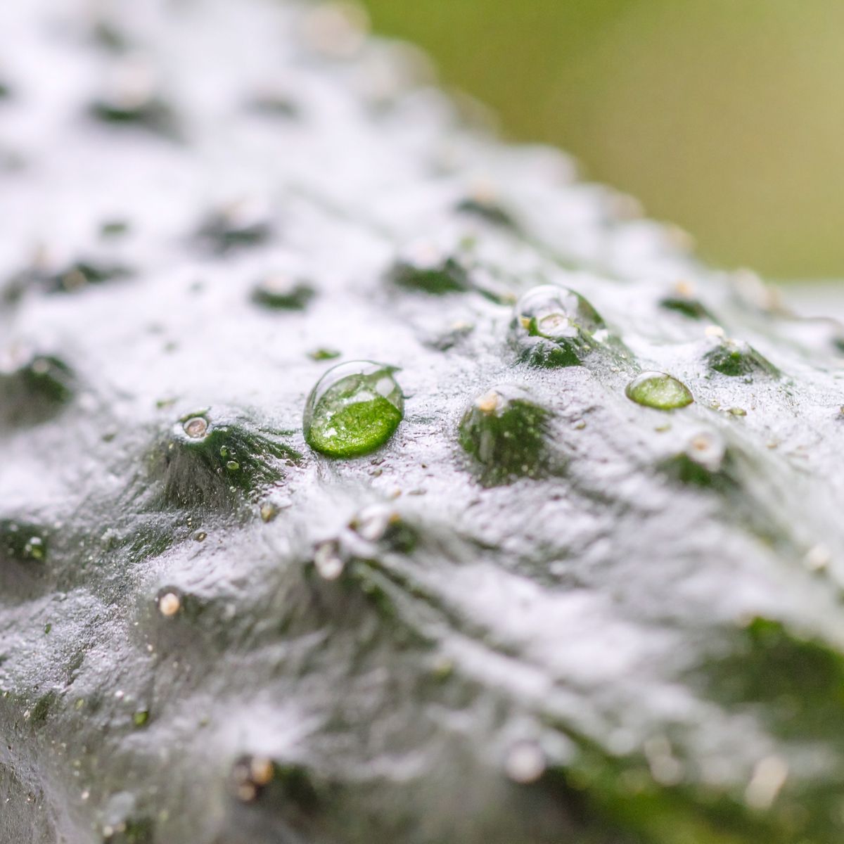 Skincare Products for Congestion