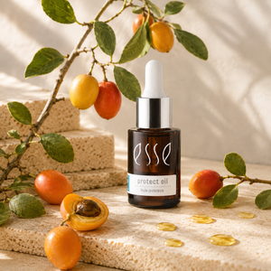 A bottle of ESSE Protect Oil serum with a white dropper cap, styled on a beige stone slab with Xiemenia fruits, green leaves, and scattered golden oil droplets under warm natural light.