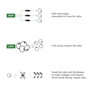 Adipeau Volume Cream - 60ml