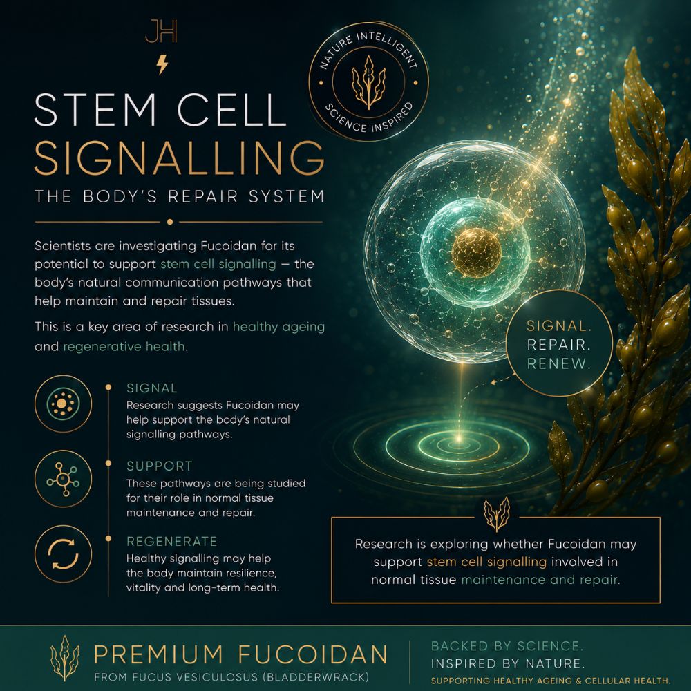 Premium Fucoidan Stem Cell Signalling