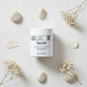 A white jar of Sente Dermal Repair Ultra-Nourish cream centered on a textured white fabric background, surrounded by dried baby's breath flowers and smooth white stones.