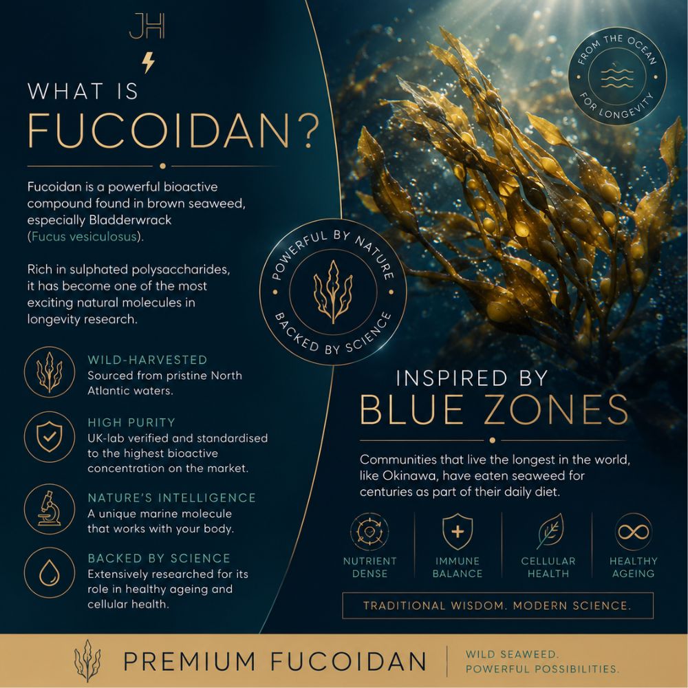 Premium Fucoidan Bladderwrack Seaweed